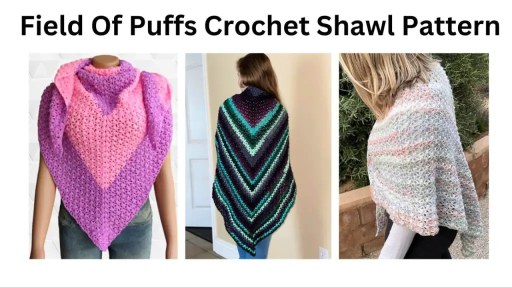 easy crochet field of puffs shawl