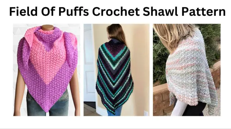 easy crochet field of puffs shawl