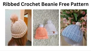 easy crochet ribbed beanie
