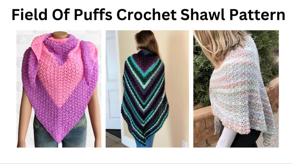 easy crochet field of puffs shawl